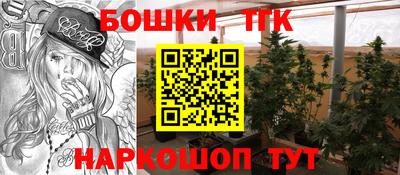 дмт Камышлов