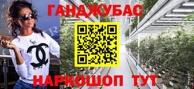 дмт Камышлов