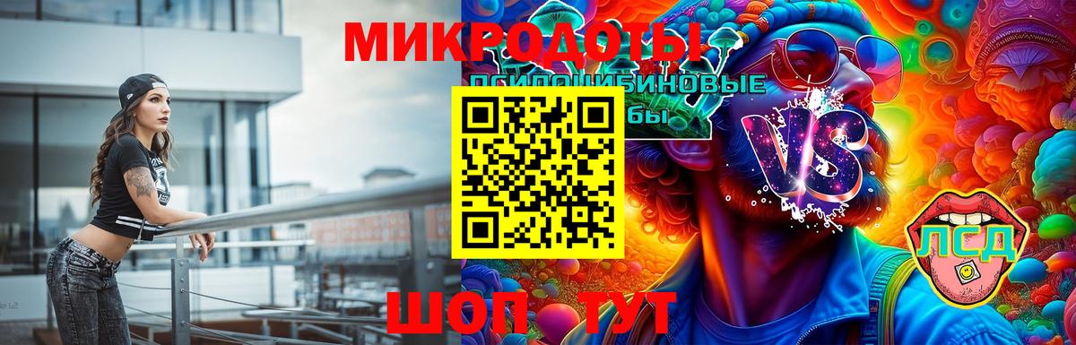 Псилоцибиновые грибы Psilocybe  Вход с VPN  Сосновоборск 